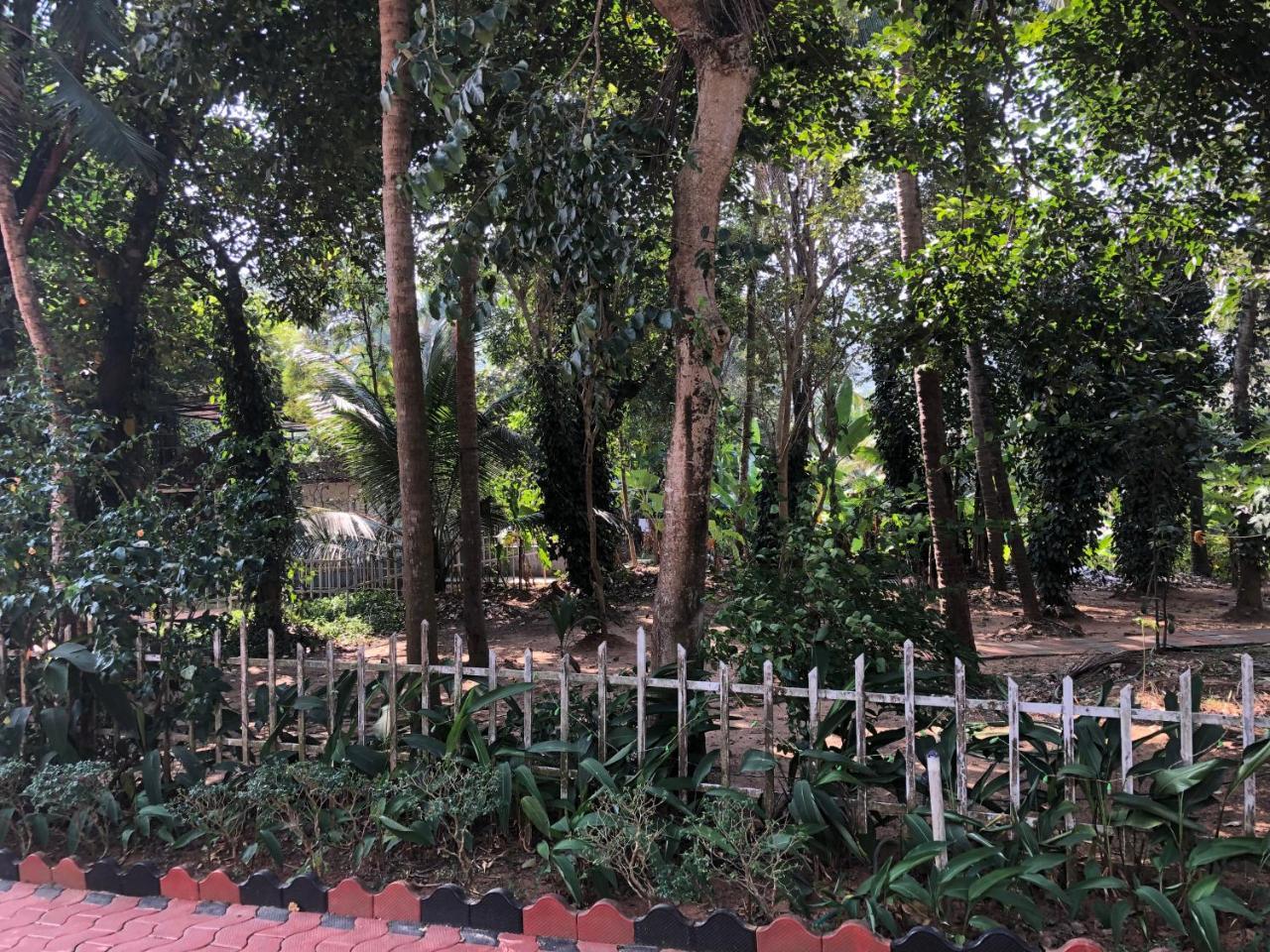 Ayuryogashram Heritage Thrissur Exteriör bild